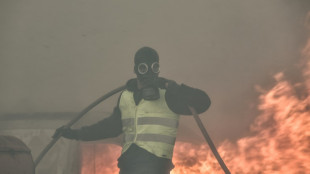 Griechische Feuerwehr bekommt Brände bei Athen nicht in den Griff