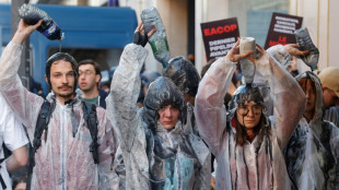 TotalEnergies wegen Klimaklage vor einem Pariser Gericht