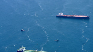 US sinks international deal on decarbonising ships