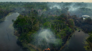 Desmatamento na Amazônia brasileira tem menor taxa em um primeiro bimestre desde 2018