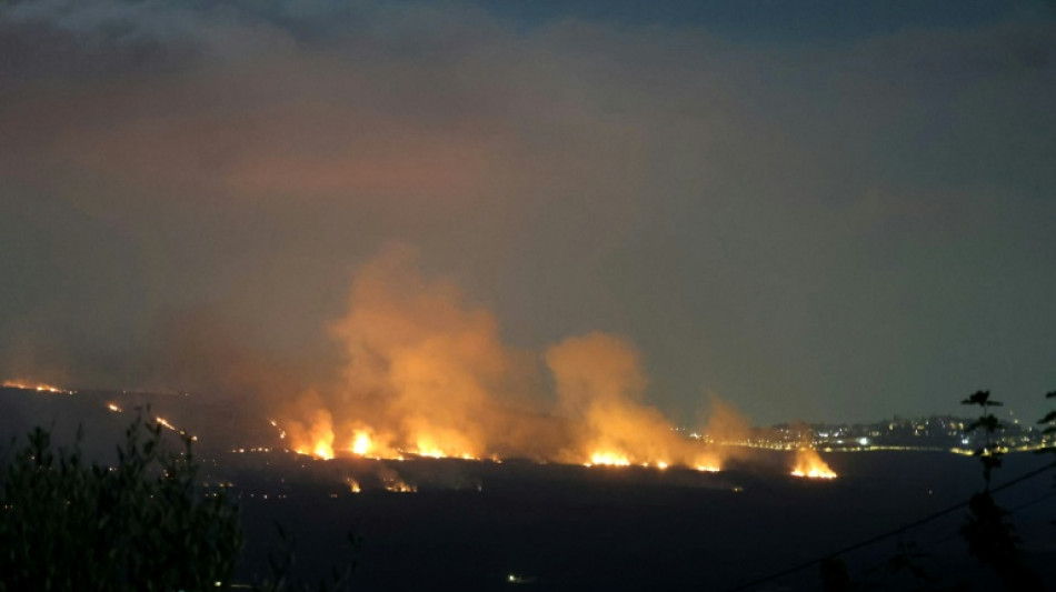  Lebanon accuses Israel of burning forest, farmland in south 
