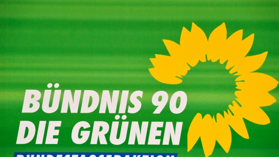  Hitzeschutz im Grundgesetz: Gr&uuml;ne bieten Koalition Unterst&uuml;tzung an 