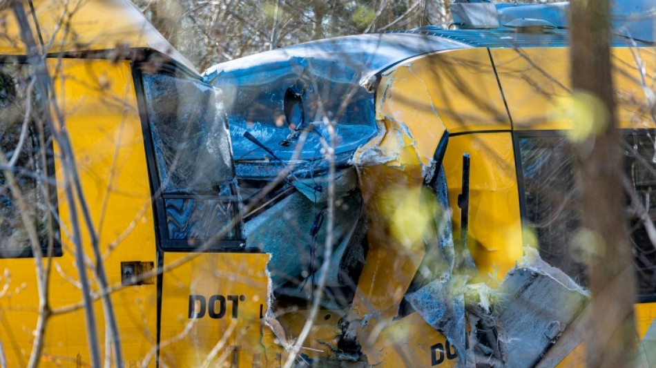  17 injured, five critically, in head-on train crash in Denmark 