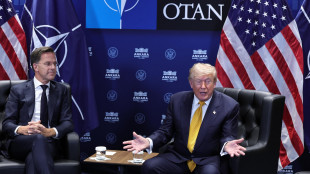 Trump, 'L'Italia ha fatto molto male con le sue basi