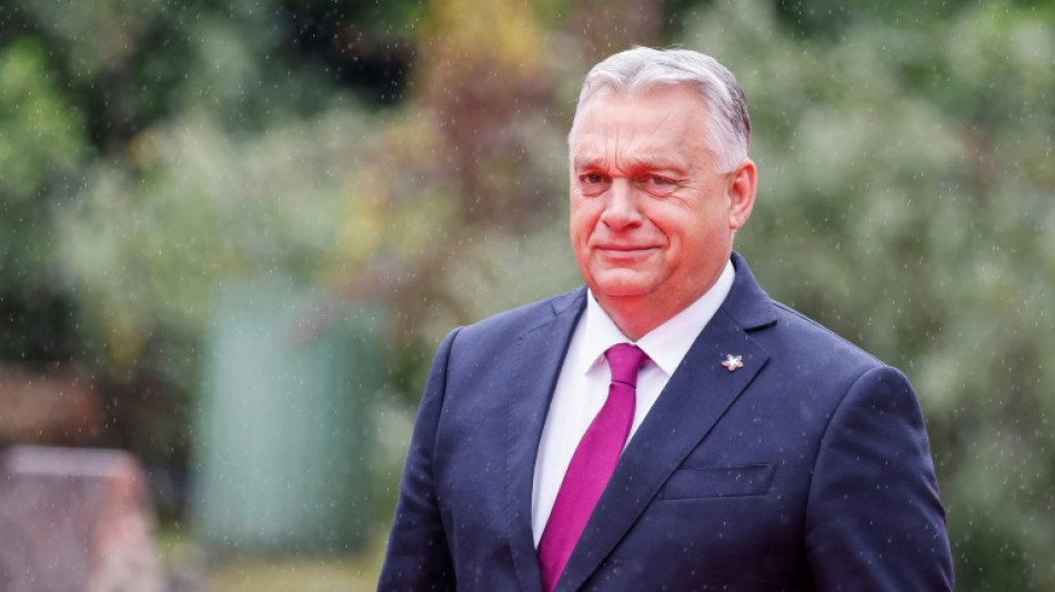 Viktor Orban, victime collat&eacute;rale des &eacute;lections en Roumanie