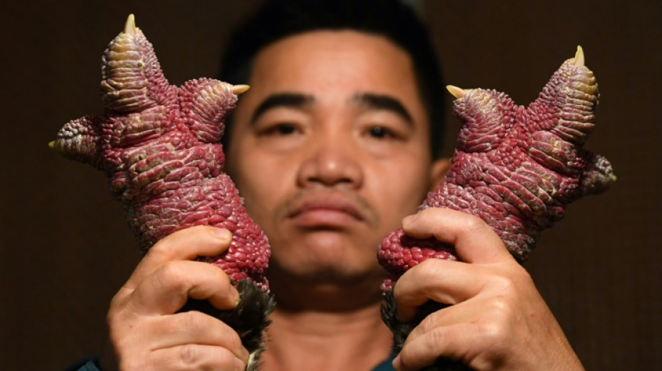 Patas de