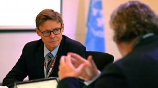 Un relator de la ONU califica de "crimen de guerra" el ataque israelí contra periodistas en Líbano en 2023