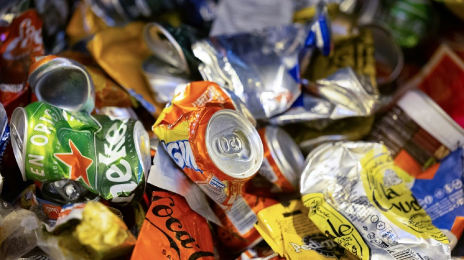 Restaurants, recyclage, consignes... le texte de l'UE pour verdir les emballages