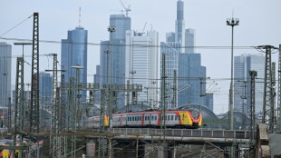 Bauarbeiter in Frankfurt am Main von herabfallendem Gegenstand erschlagen
