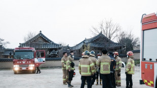 Mindestens 19 Tote bei verheerenden Waldbränden in Südkorea