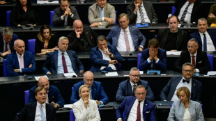 CDU-Politiker Rhein fordert Ausschussposten im Bundestag f&uuml;r AfD