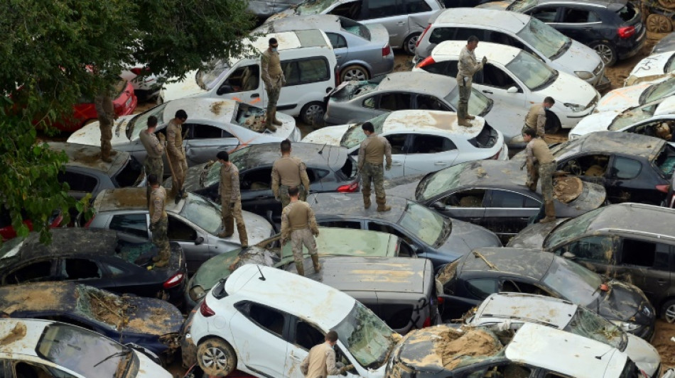 Global warming is a security threat and armies must adapt: experts