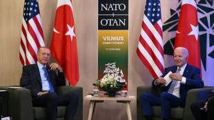 Erdogan's White House talks with Biden postponed: Turkish official