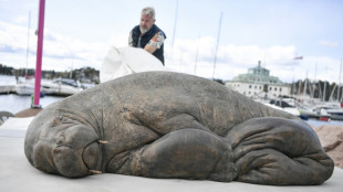 Escultura da famosa morsa Freya é inaugurada na Noruega