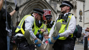 UK's highest court to hear Palestine Action's appeal against ban