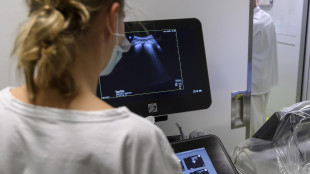 Ecografia 4D mostra il flusso sanguigno di organi interi