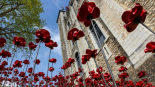 Poppies flourish at Tower of London for WWII anniversary