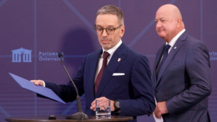 Koalitionsgespr&auml;che in &Ouml;sterreich: FP&Ouml; und &Ouml;VP einigen sich auf Haushalts-Fahrplan