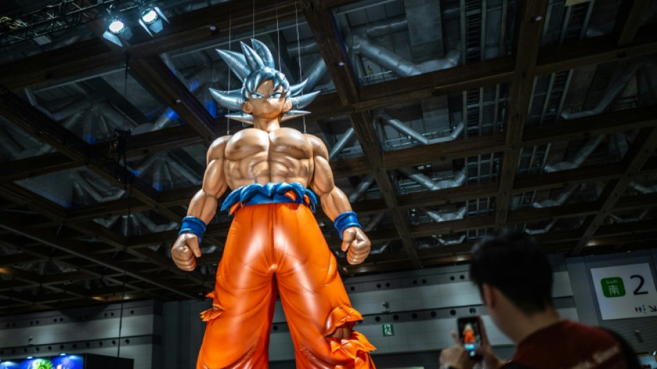  Pr&egrave;s de Paris, un projet de parc d'attractions Dragon Ball &agrave; l'&eacute;tude 