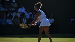 Wimbledon: Errani-Paolini eliminate al secondo turno