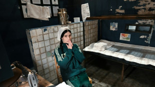 Pussy-Riot-Gründerin Tolokonnikowa kehrt in US-Museum in Gefängniszelle zurück