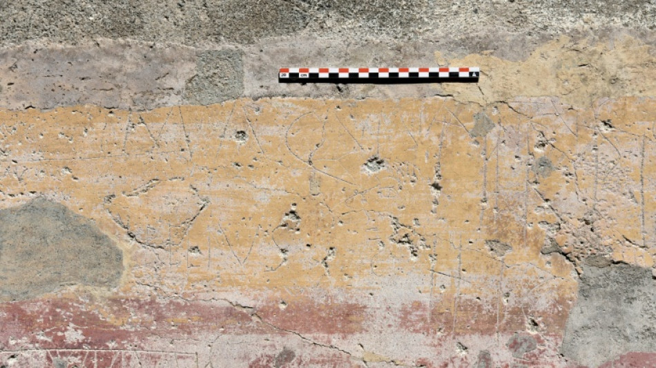  Les graffiti de Pomp&eacute;i mis en lumi&egrave;re par la science 