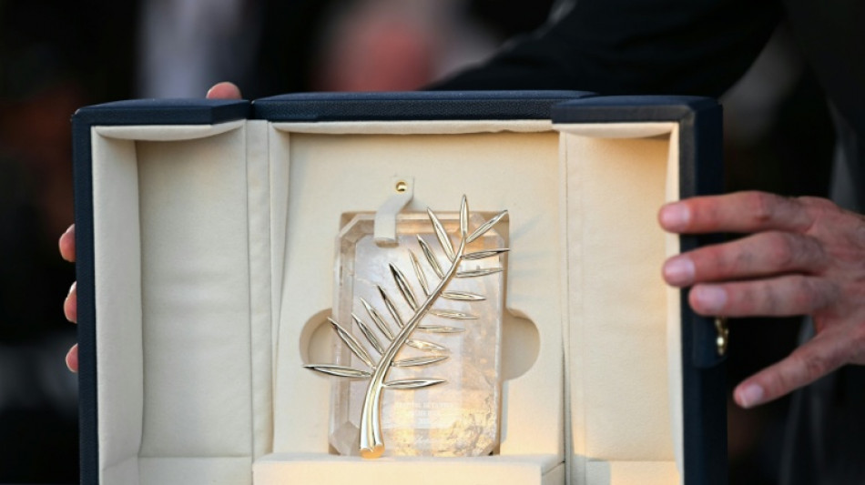 Las pel&iacute;culas en liza por la Palma de Oro del 79&ordm; Festival de Cannes