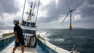 Floating wind power sets sail in Japan's energy shift