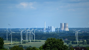 Energiewirtschaft hält Erzeugung von mehr Strom aus Kohle für möglich
