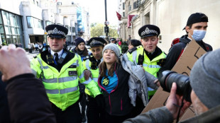 Klimaaktivistin Greta Thunberg bei Demonstration in London festgenommen