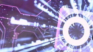 Verso l'intelligenza ibrida, interazione fra quella umana e l'Ia