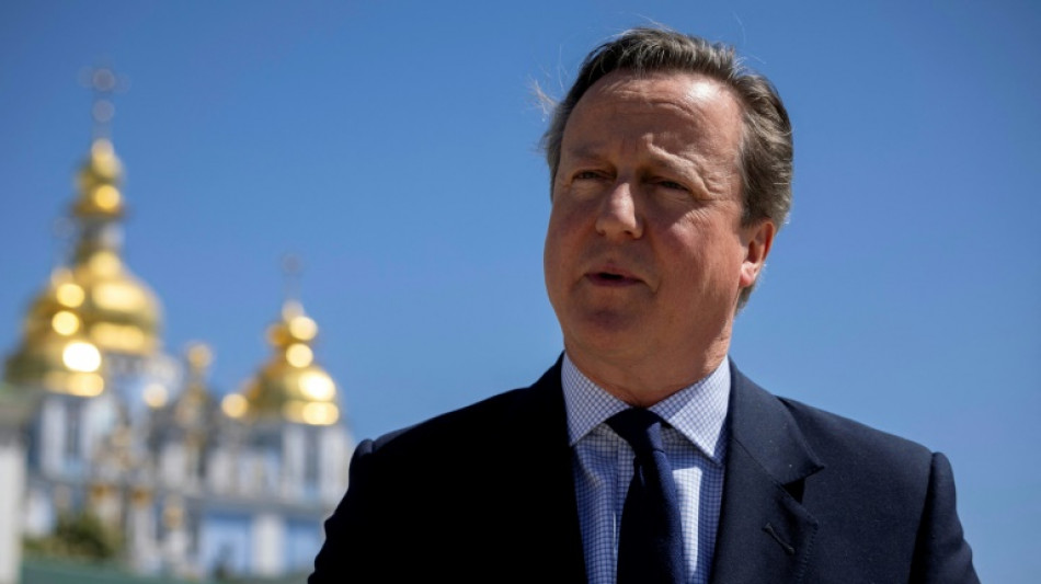 Cameron: Nato-Staaten sollen Militärausgaben auf 2,5 Prozent erhöhen 