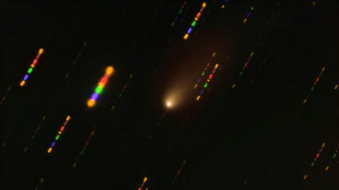 Possible interstellar object spotted zooming through Solar System