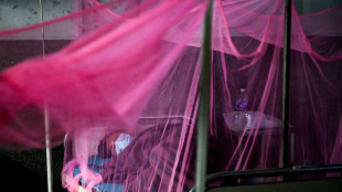 Au N&eacute;pal, l'inqui&eacute;tante r&eacute;apparition de la dengue