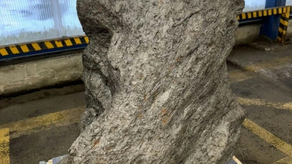  Russie: un grand morceau de m&eacute;t&eacute;orite d&eacute;couvert dans un conteneur en partance pour le Royaume-Uni 