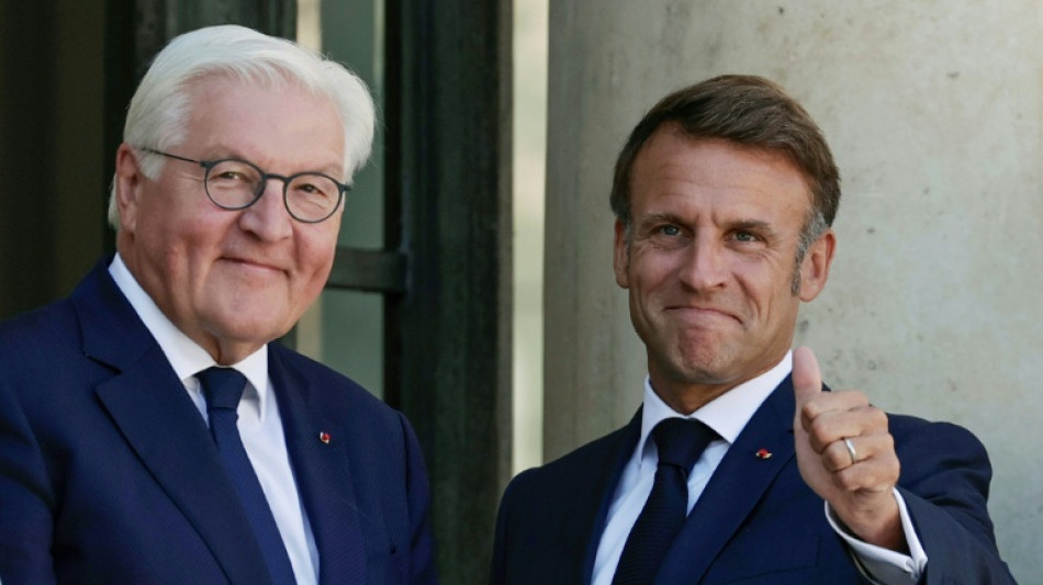  Bundespr&auml;sident Steinmeier will zu Staatsbesuch nach Frankreich reisen 