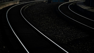 Hund springt auf Bahngleise: Mann stirbt bei Rettungsversuch in Baden-Württemberg