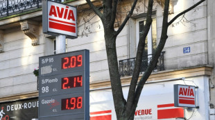 La AIE alerta sobre un posible a&ntilde;o de "volatilidad"