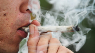 Hälfte der Berlinerinnen und Berliner hat Erfahrungen mit Cannabiskonsum