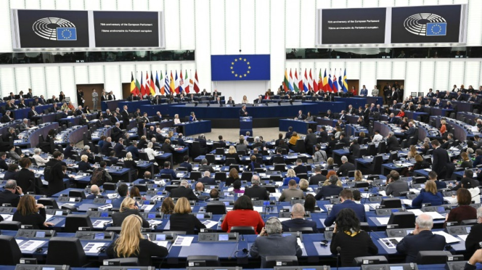 Aufregung im EU-Parlament nach Hackerangriff auf Webseite