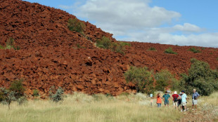 Art rupestre: des Aborigènes à l'Unesco pour défendre un site majeur, tout juste inscrit au patrimoine mondial
