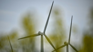 Bundestag stimmt über Ausbau Erneuerbarer und über Ersatzkraftwerke ab