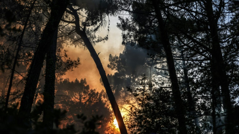 Un 14-Juillet de canicule, près de 4.000 hectares brûlés en Gironde