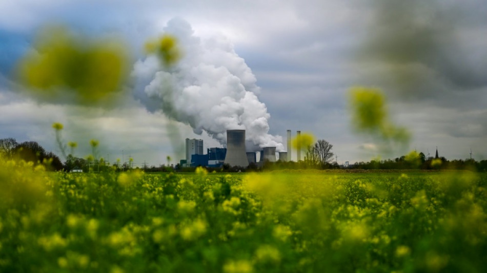 Gr&uuml;nen-Politikerin Henneberger: Abschaltung von Kohlekraftwerken "gro&szlig;er Erfolg" 