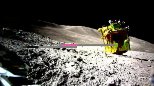 Japan Moon probe survives second lunar night