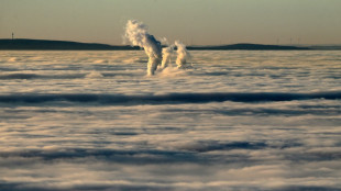 Vergleichsportal: Neukundenpreis f&uuml;r Strom und Gas seit Herbst stark gesunken 