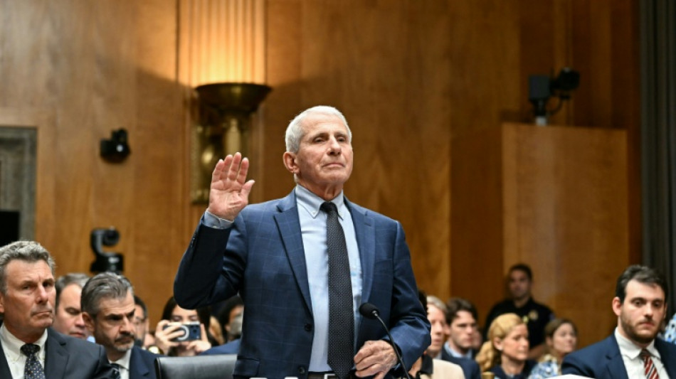  Comit&ecirc; do Senado americano declara Anthony Fauci em desacato 