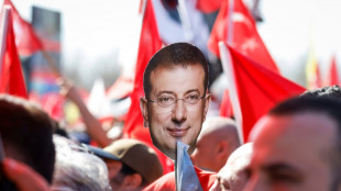 T&uuml;rkische Beh&ouml;rden best&auml;tigen Terrorvorwurf gegen schwedischen Journalisten