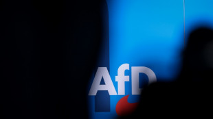 AfD in Brandenburg wählt Bundestagsabgeordneten Springer zu neuem Vorsitzenden