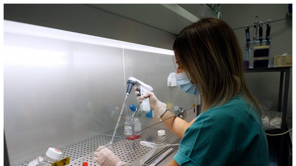  Nuova terapia silenzia il virus dell'epatite B, via ai test sull'uomo 